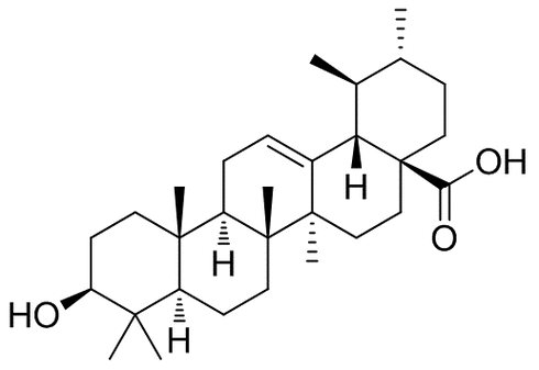 Ursolic Acid Power