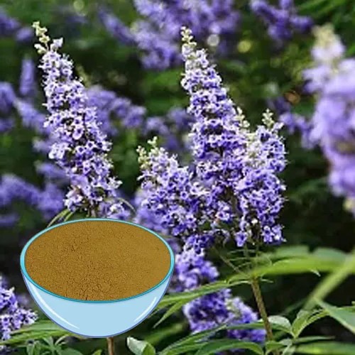 Vitex Extract