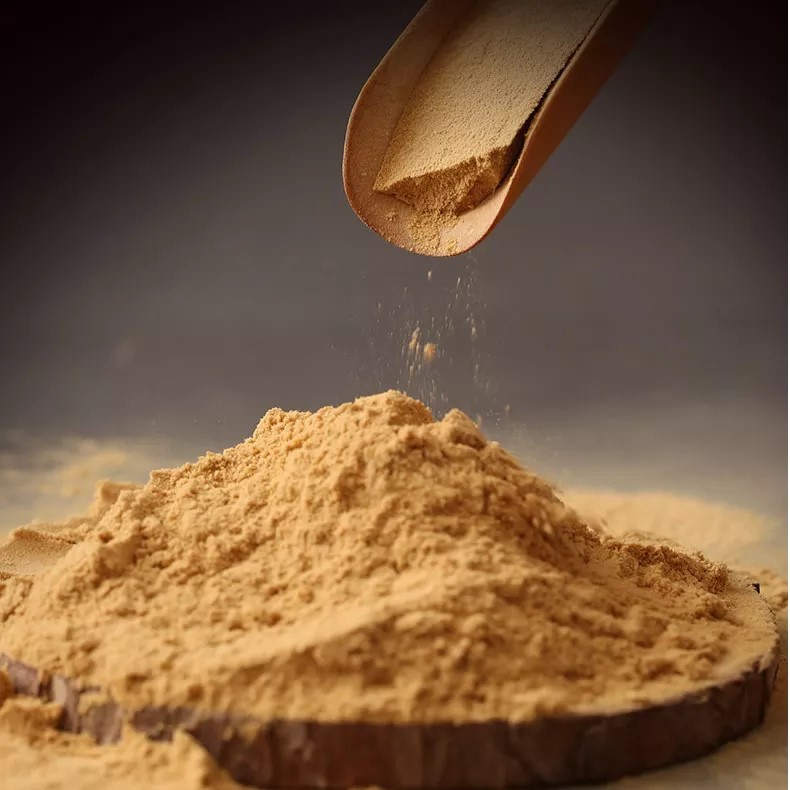 Devils Claw Extract Benefits RealcelarBio