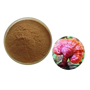 Reishi Mushroom Extract Powder