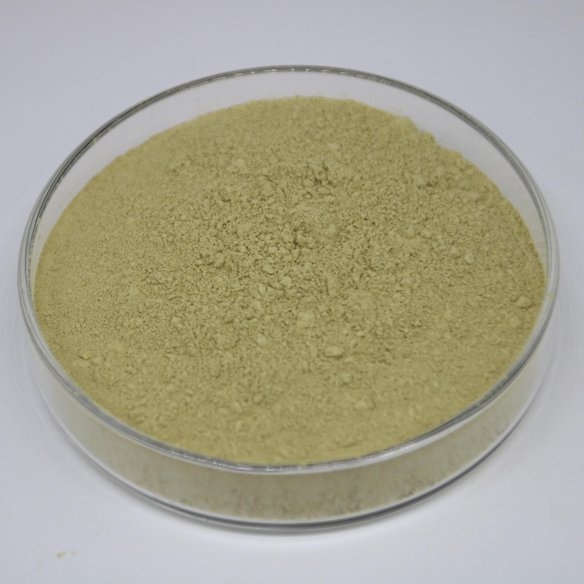 Can Ursolic Acid Really Remove Spot?