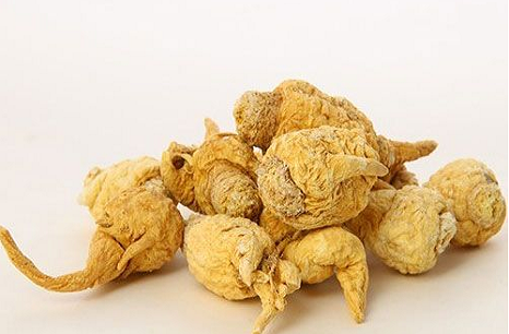 Maca Extract Supplier