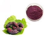 Mulberry powder's efficacy 