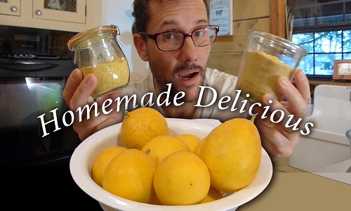 dry lemon powder for sale - RealclearBio