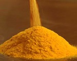 Pumpkin powder's functions 