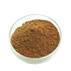Chaga Extract