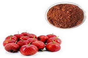 Hawthorn berry powder cost - RealclearBio