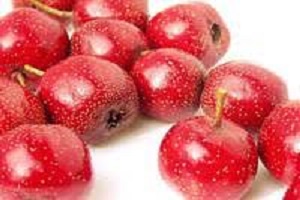 Hawthorn Berry Extract price - RealclearBio