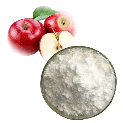 Apple Cider Vinegar Powder bulk - RealclearBio
