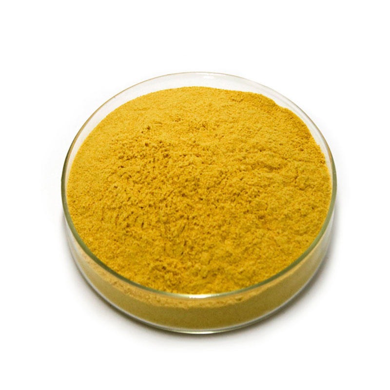 Buy Turmeric Extract-RealclearBio