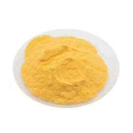 Coenzyme Q10 