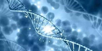 peptide introduction -Realclearbio