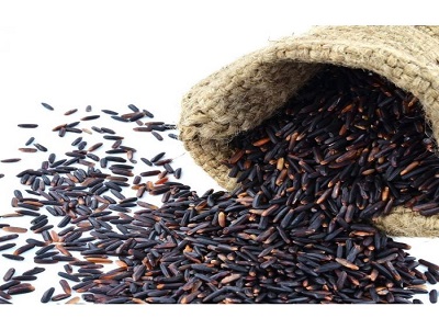black rice anthocyanin powder cost - RealclearBio