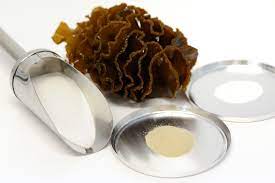 Fucoidan extract cost-Realclearbio