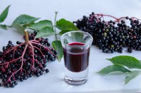 Elderberry Extract-1