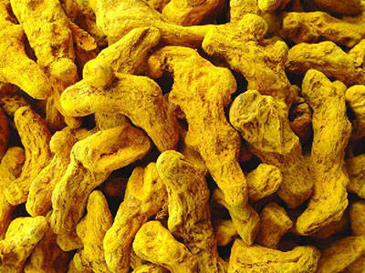 Organic Turmeric Extract-RealclearBio