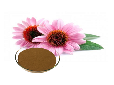 china Botanical Extract-Realclear Bio