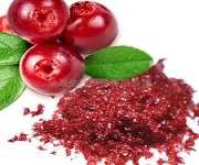 Cranberry powder's benefits for us