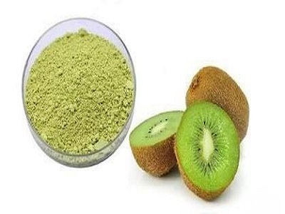 Dehydrated Fruit Powder wholesale - RealclearBio
