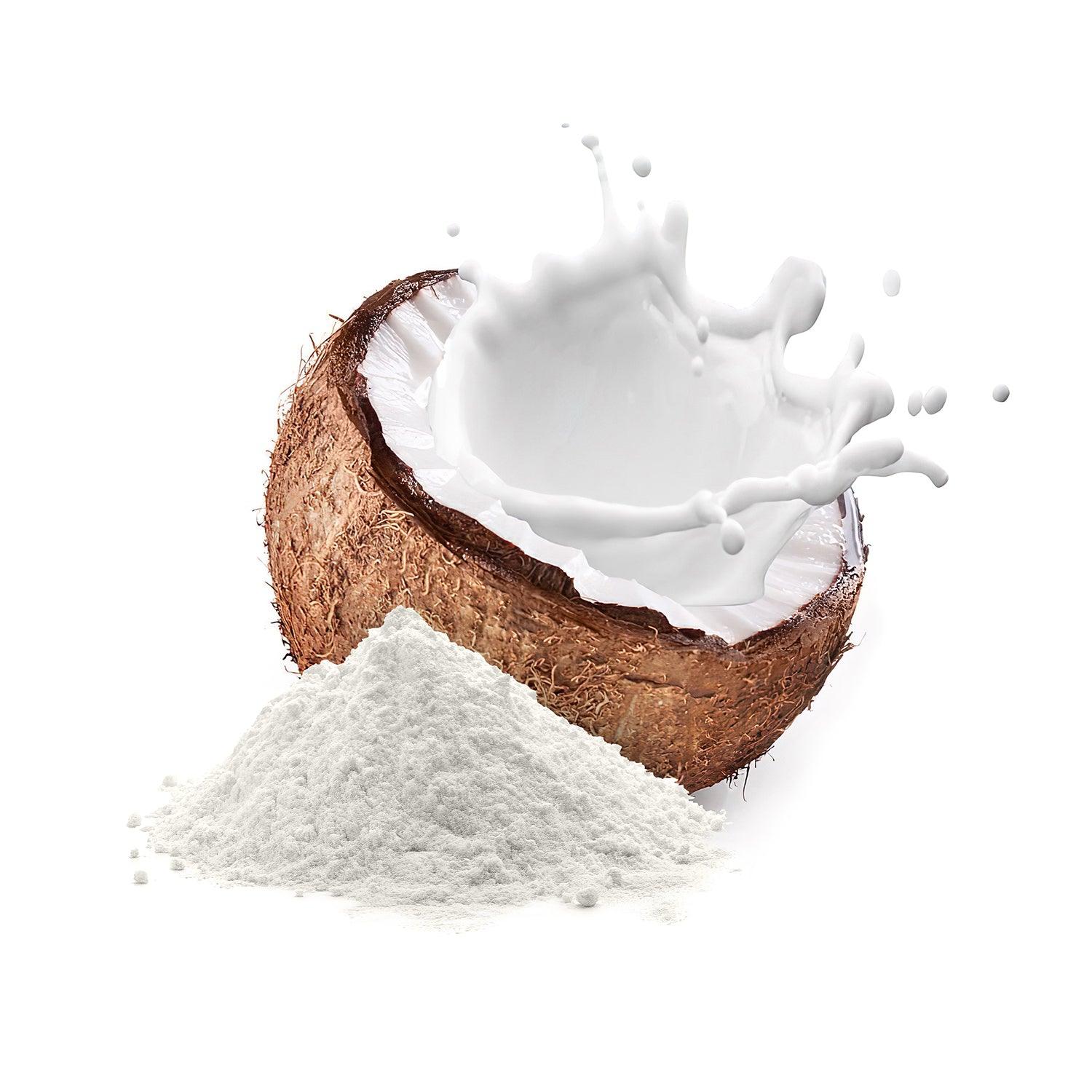 Coconut Powder Wholesale