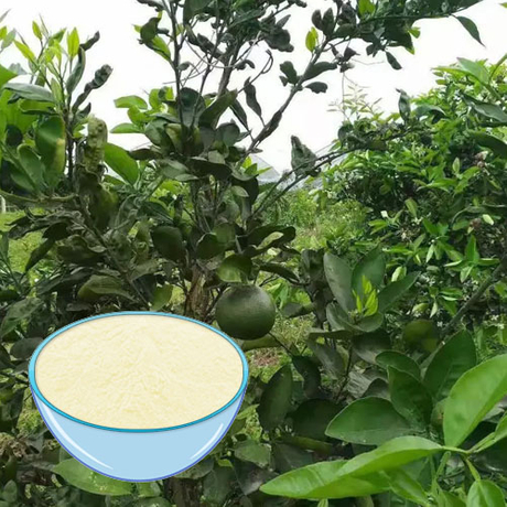 Grape Fruit Extract