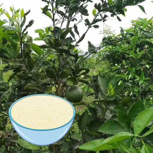 Grape Fruit Extract