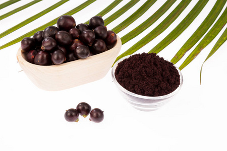 Acai Berry Powder for sale -RealclearBio