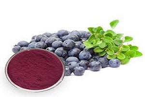 buy Blueberry Extract powder - RealclearBio