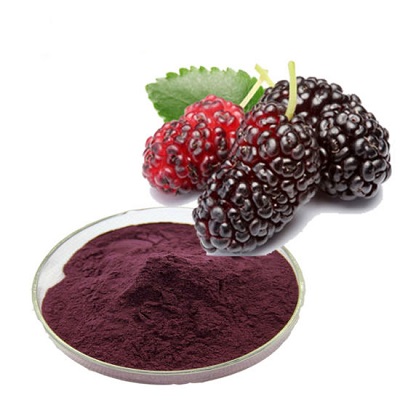 dried mulberry powder for sale - RealclearBio