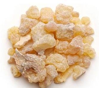 Boswellia Serrata Extract wholesale