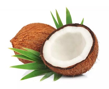 coconut protein powder suppliers -Realclearbio