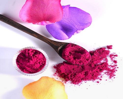 dried dragon fruit powder for sale - RealclearBio