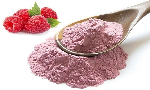 Raspberry Fruit Powder suppliers - RealclearBio