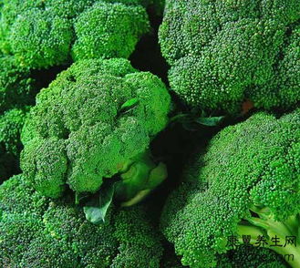 Freeze Dried Broccoli Pollen