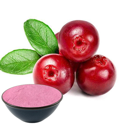 Cranberry Powder