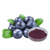 Euterpe Oleracea Extract