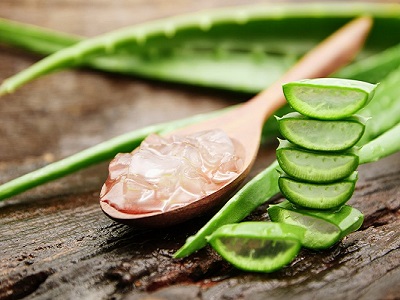 aloe barbadensis extract manufacturers-RealclearBio