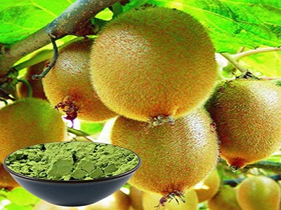kiwi fruit extract powder manufacturers - RealclearBio