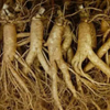 Ginseng Extract