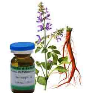 Salviae Miltiorrhizae Radix Et Rhizoma