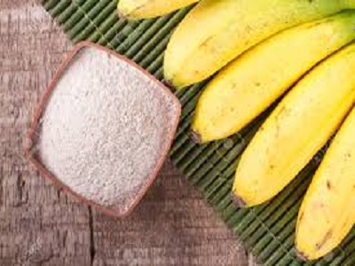 Banana Powder price - RealclearBio