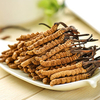 Cordyceps Extract