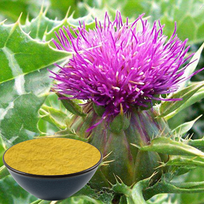 Milk Thistle Extract supplier-realclearbio