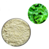 Gotu Kola Extract