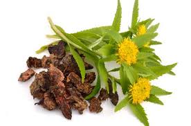 Rhodiola Extract-3