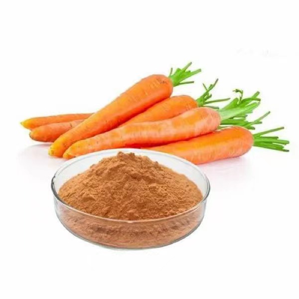 Black Carrot Extract Powder