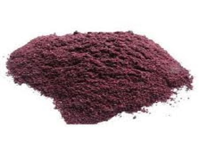 best wild blueberry powder - RealclearBio