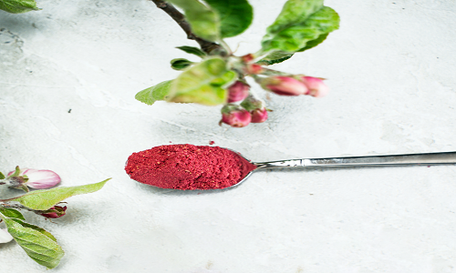 Dehydrated Raspberry Powder wholesale - RealclearBio