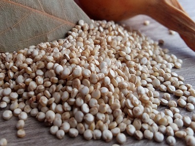 best instant quinoa powder - RealclearBio