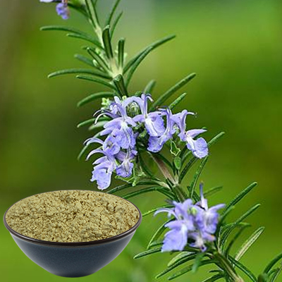 Rosmarinic Acid